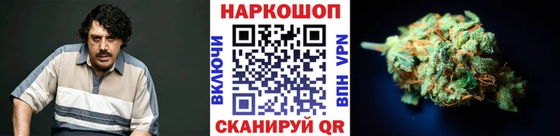 Какие есть наркотики Гурьевск ГАШИШ  A PVP  Мефедрон  КОКАИН 