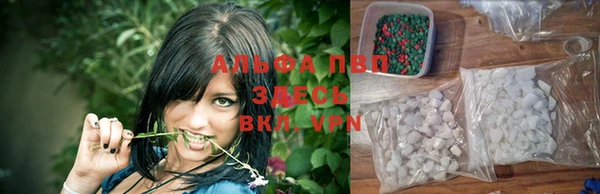 тгк Вяземский