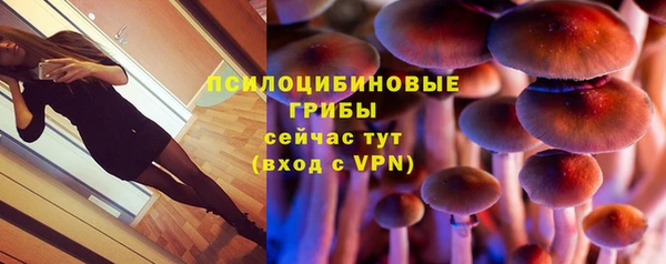 тгк Вяземский