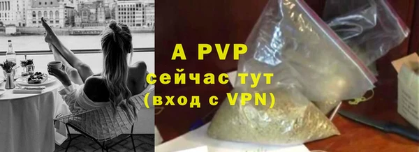 тгк Вяземский
