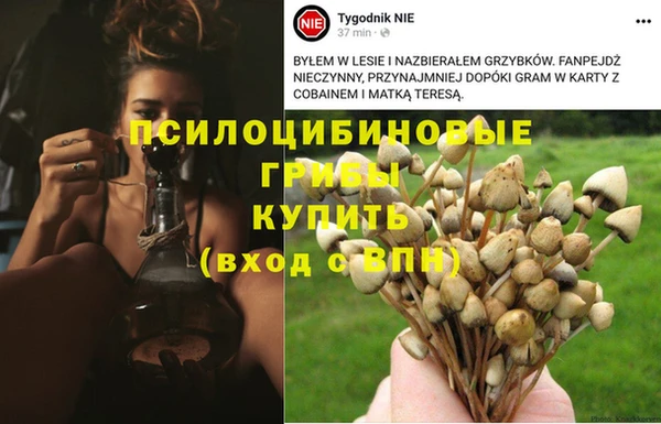 тгк Вяземский