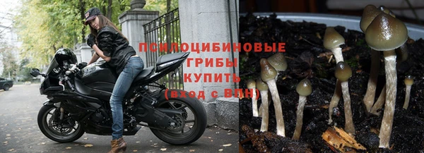 стаф Тихвин
