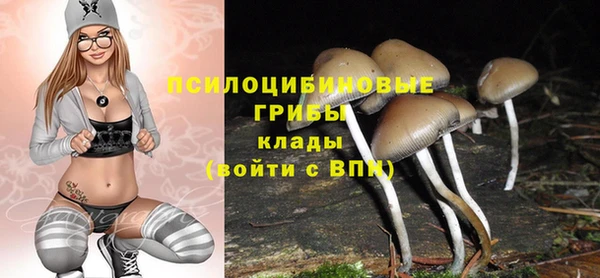 твердый Вязьма