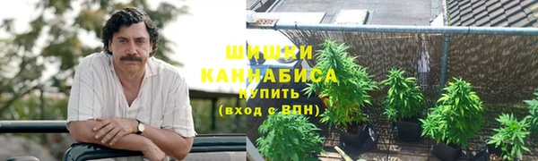 тгк Вяземский