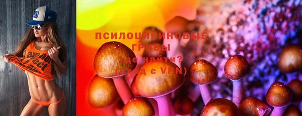 твердый Вязьма