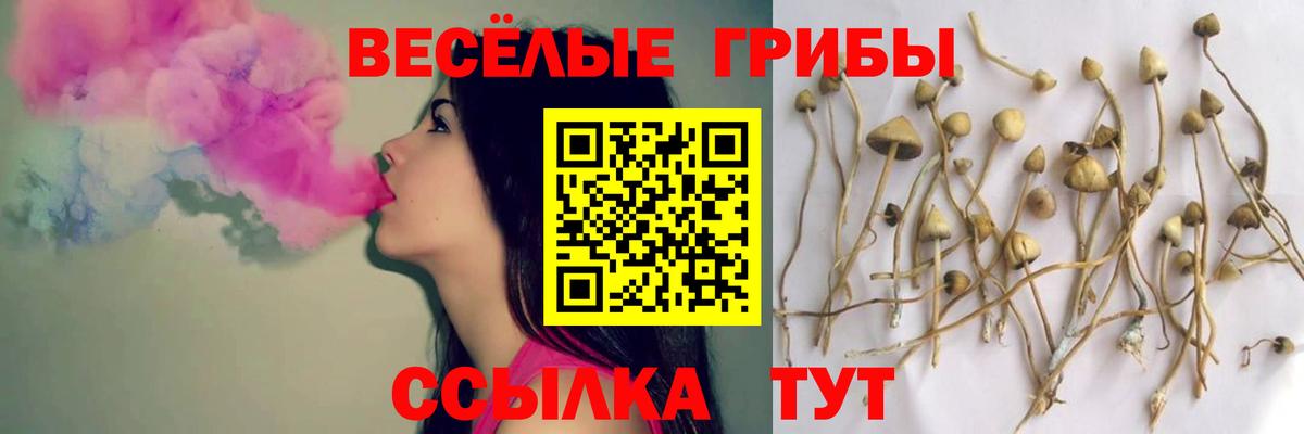 Галлюциногенные грибы прущие грибы  Вход с VPN  Гурьевск  Галлюциногенные грибы мухоморы 